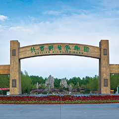 首页- YABO鸭脖公司官网