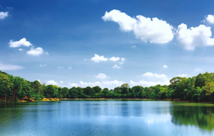 royalʼ88(й) - ٷվ