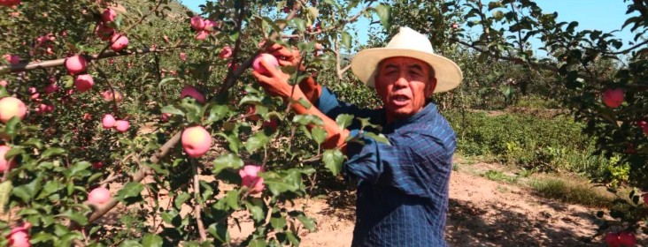 royalʼ88(й) - ٷվ