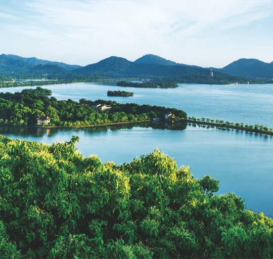 royalʼ88(й) - ٷվ