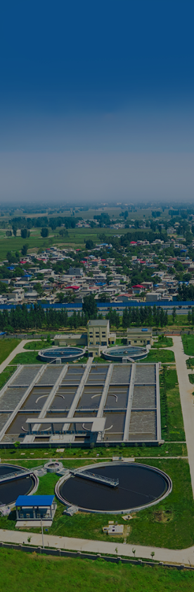 royalʼ88(й) - ٷվ