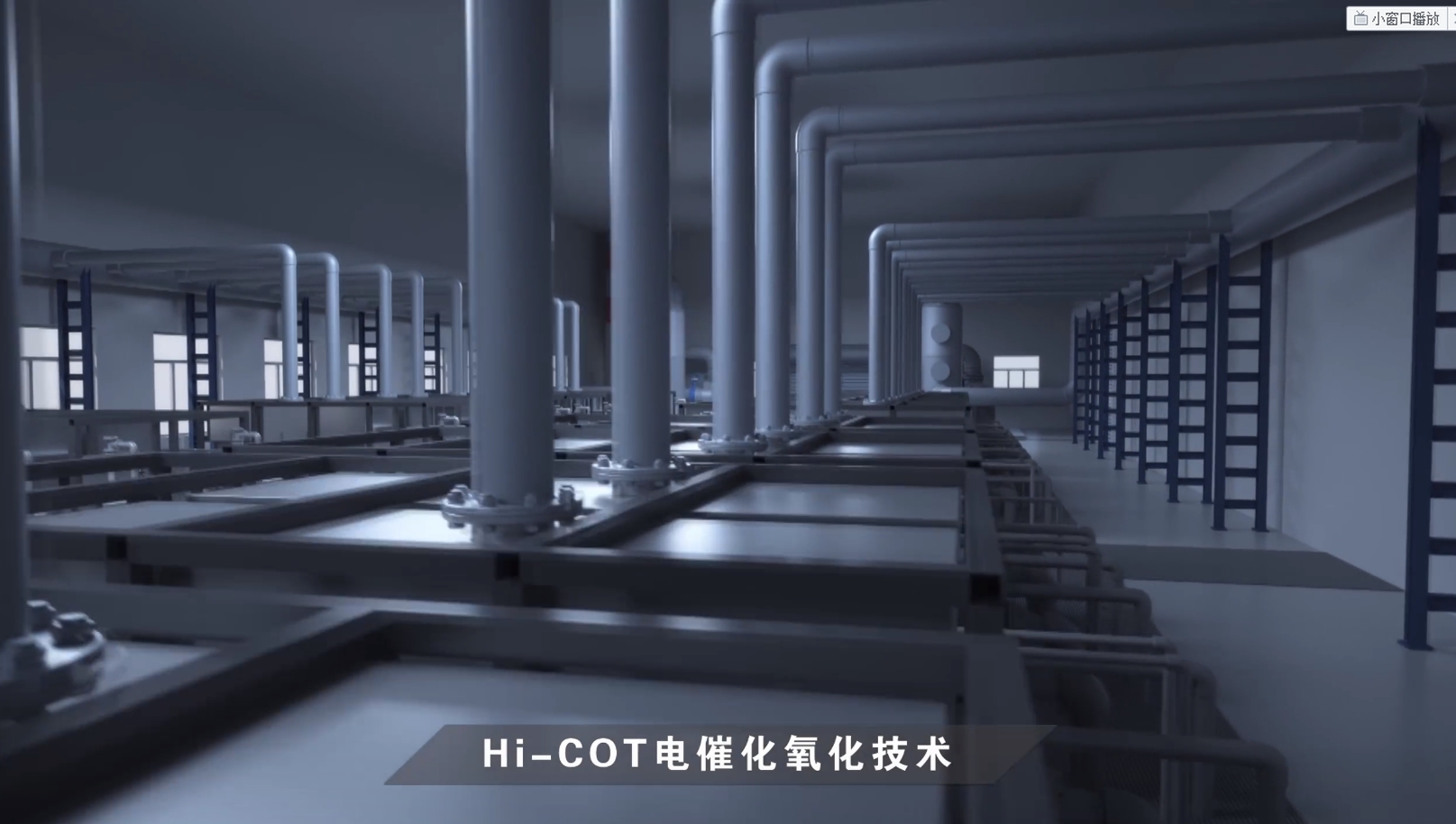 royalʼ88(й) - ٷվ