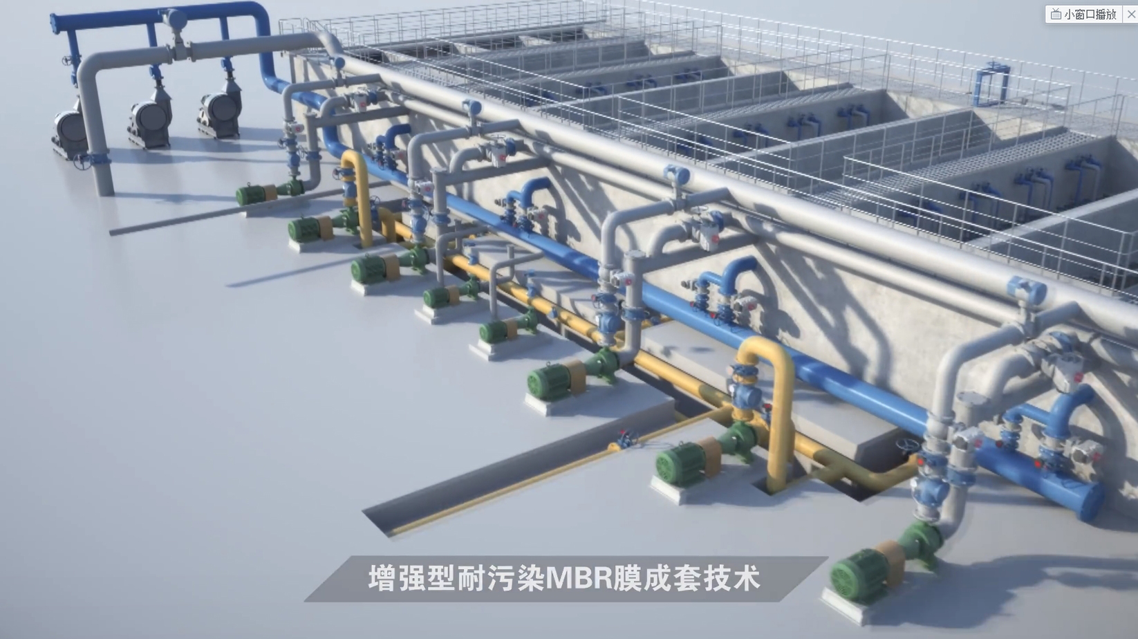 royalʼ88(й) - ٷվ