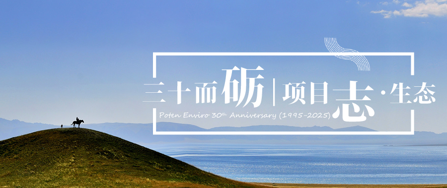 royalʼ88(й) - ٷվ